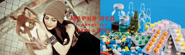 эйфоретик Ельня