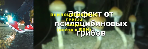 прущие крисы Елабуга