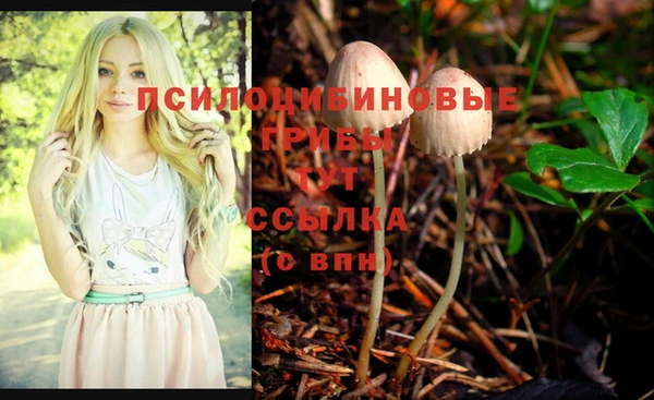 прущие крисы Елабуга
