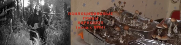 прущие крисы Елабуга