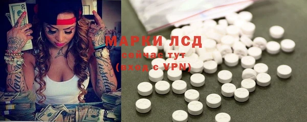 эйфоретик Ельня
