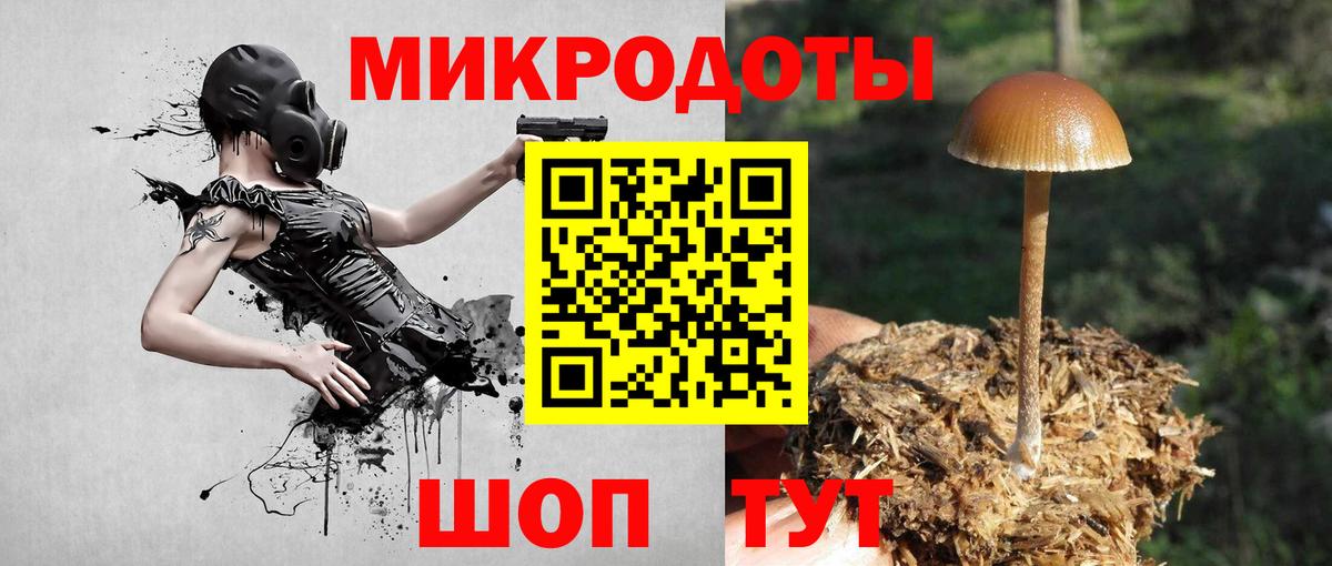 Псилоцибиновые грибы Psilocybine cubensis  Вход с VPN  Сальск 