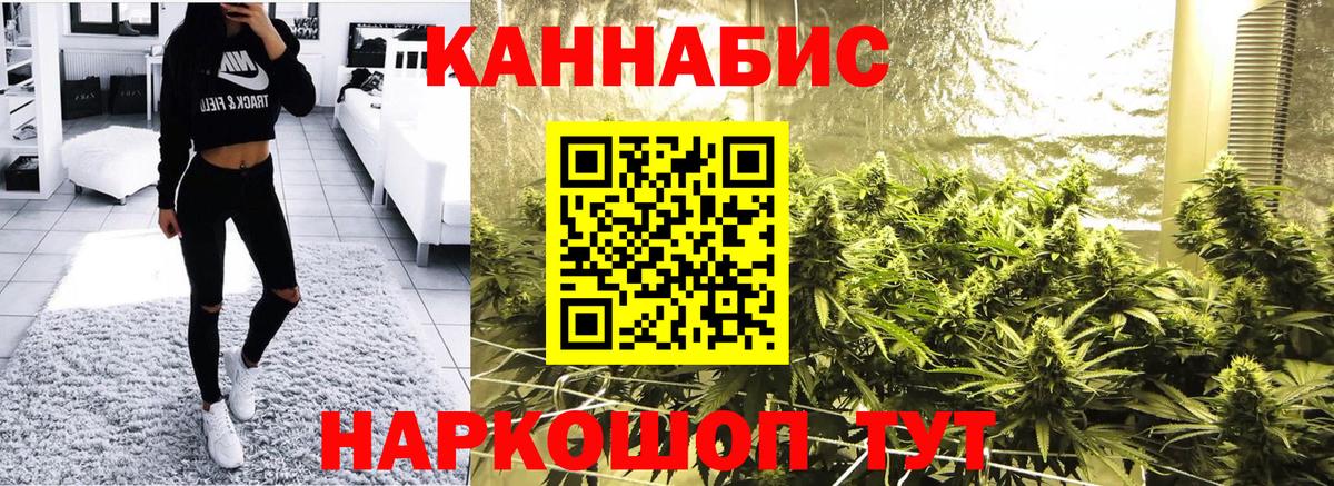 Каннабис конопля Сальск